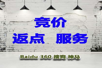 SEM账户托管助力企业增长案例
